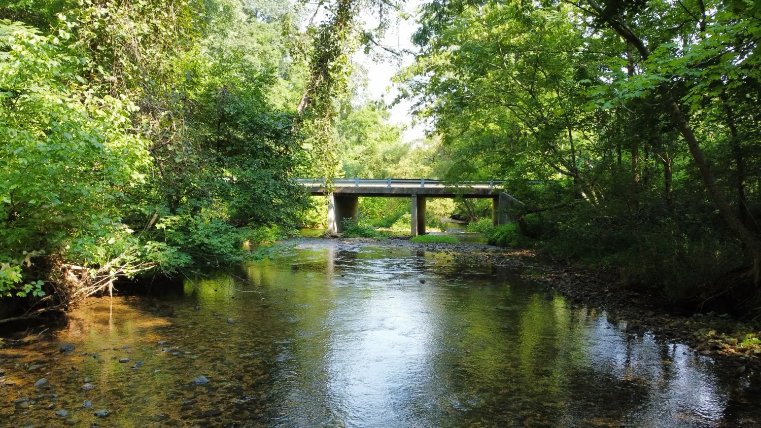 A Middle Tennessee creek flowing beneath a small concrete bridge in the woods